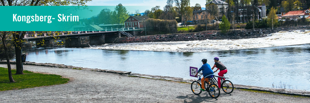 Syklister langs Lågen