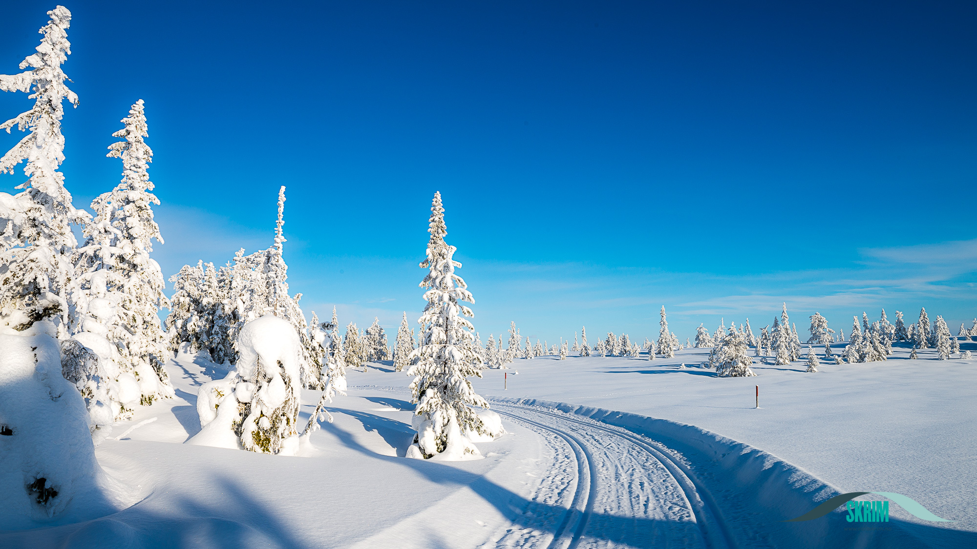 Skispor på Skrim