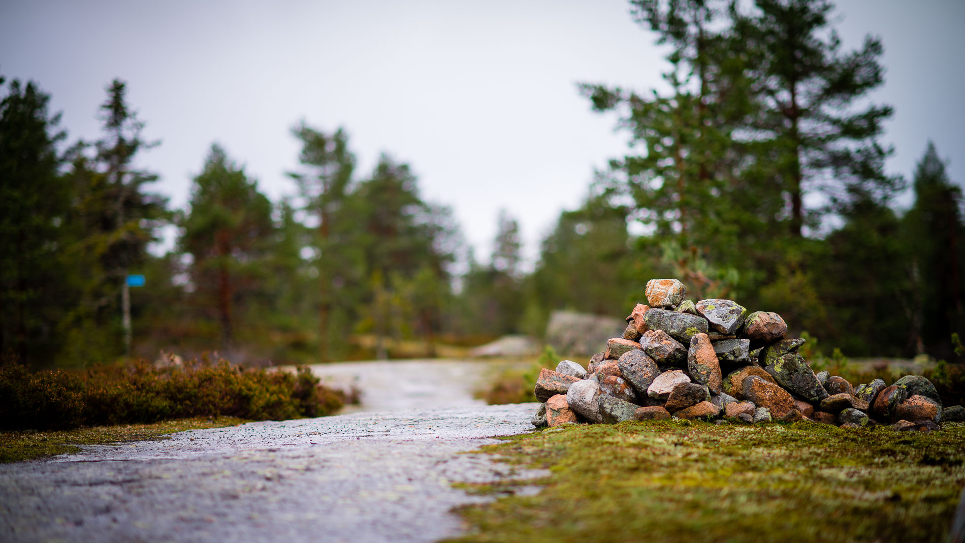 Flott turterreng på Skrim