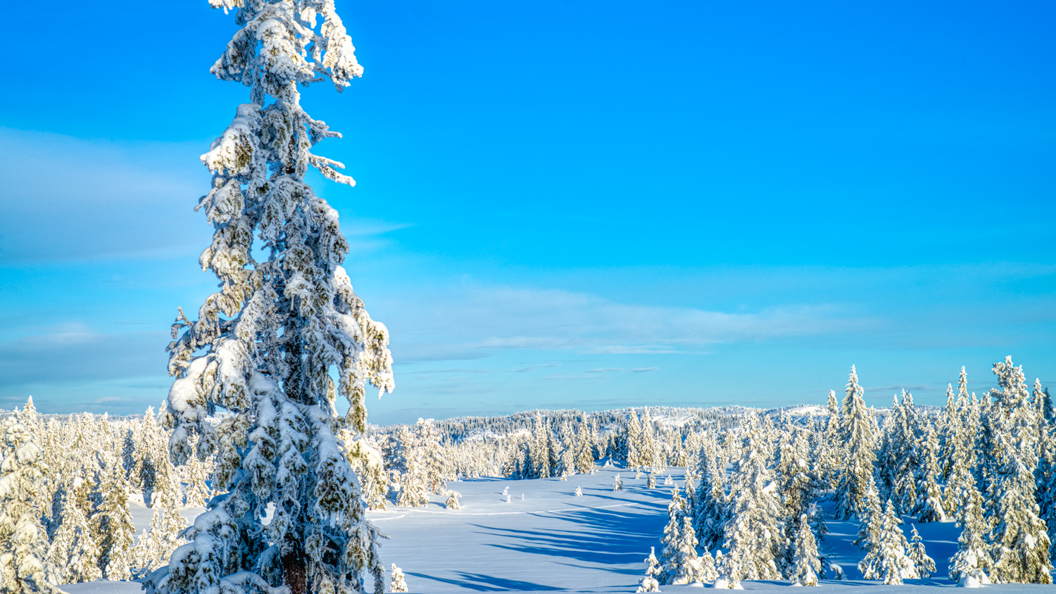 Vinterbilde fra Skrim