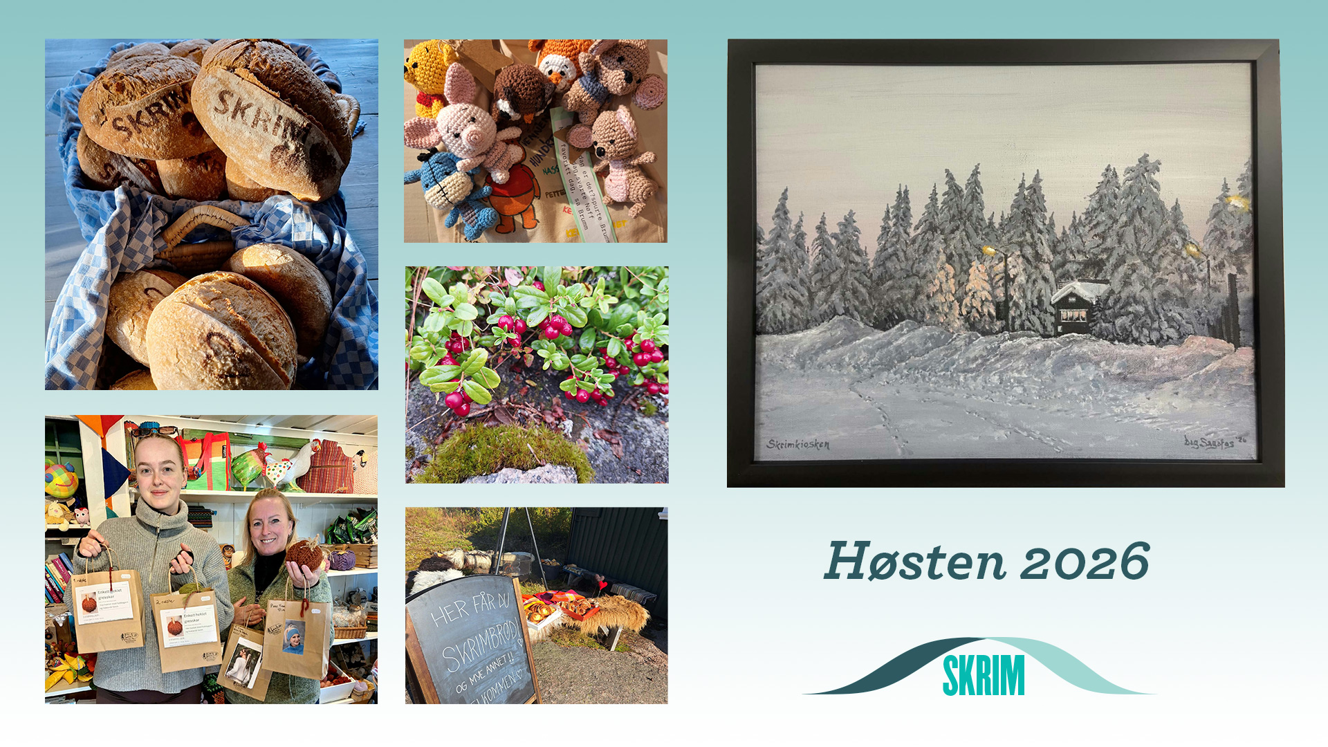 Inntrykk fra høstfjellet collage
