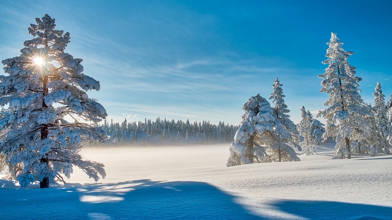 skrimvinter2018