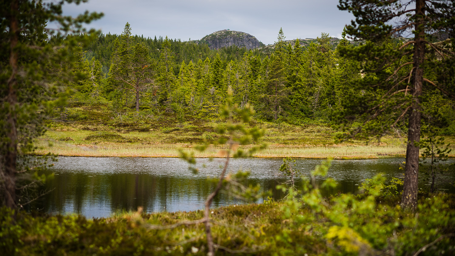 Naturen på Skrim