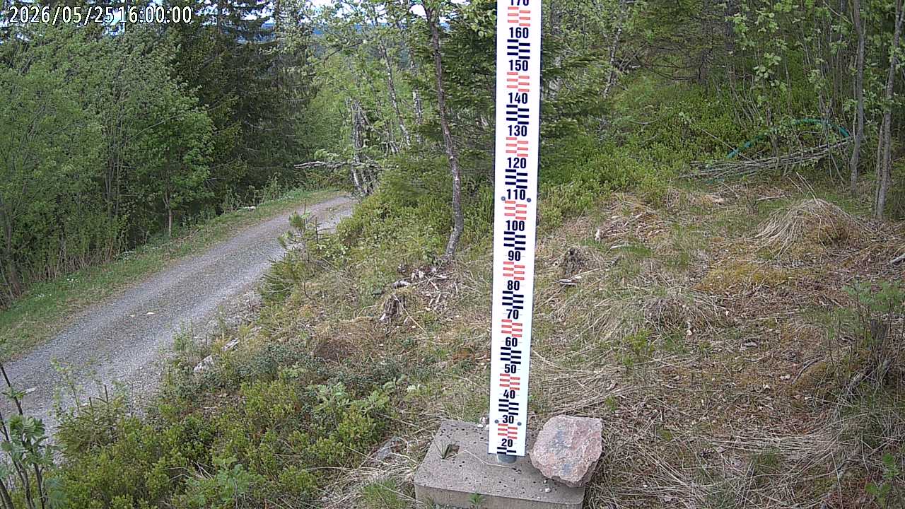 Kamera1